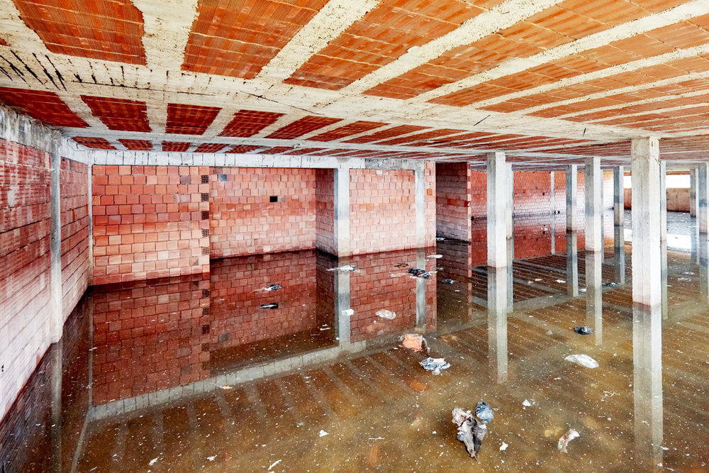 Basement Water Intrusion - Nelson Forensics