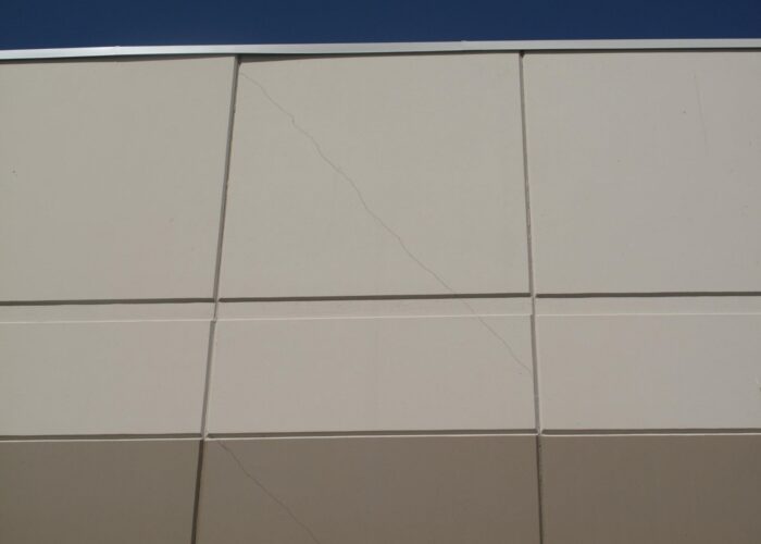 Picture8